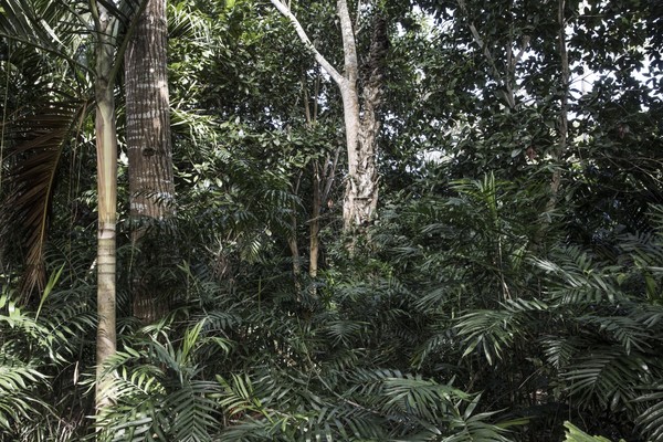 Guatemala, Petén