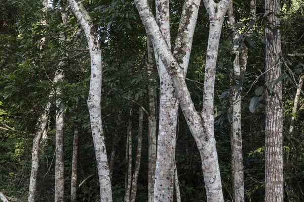 Guatemala, Petén