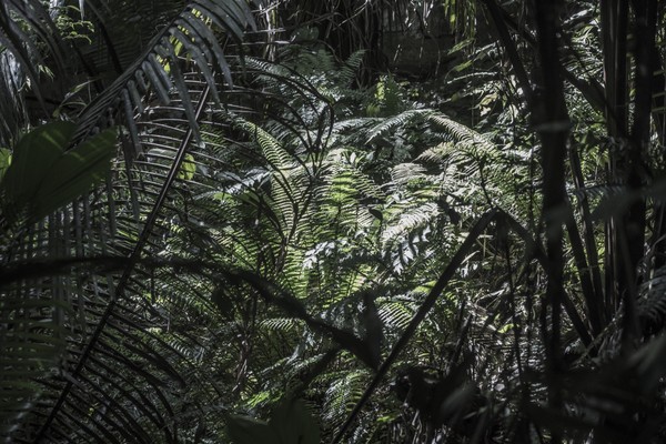 Guatemala, Petén